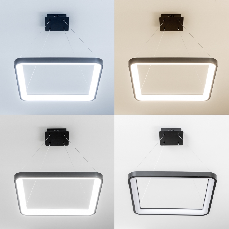 Brilagi - LED luster na sajli s mogućnošću prigušivanja FALCON SLIM LED/50W/230V 3000-6500K 50x50 cm crna + daljinski upravljač