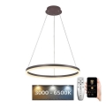 BRILAGI - LED luster s prigušivanjem na sajli CIRCLE LED/42W/230V 3000-6500K pr. 60 cm smeđa + daljinski upravljač