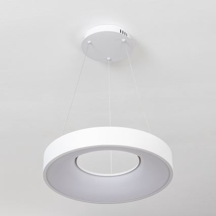 Brilagi - LED luster na sajli FALCON II, s mogućnošću prigušivanja, LED/67W/230V 3000-6500K Ø 40 cm bijeli + daljinski upravljač