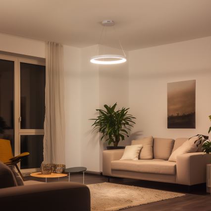 Brilagi - LED luster s mogućnošću prigušivanja na kabelu FALCON SLIM LED/42W/230V 3000-6500K Ø 50 cm, bijela, s daljinskim upravljačem