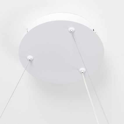 Brilagi - LED luster s mogućnošću prigušivanja na kabelu FALCON SLIM LED/42W/230V 3000-6500K Ø 50 cm, bijela, s daljinskim upravljačem