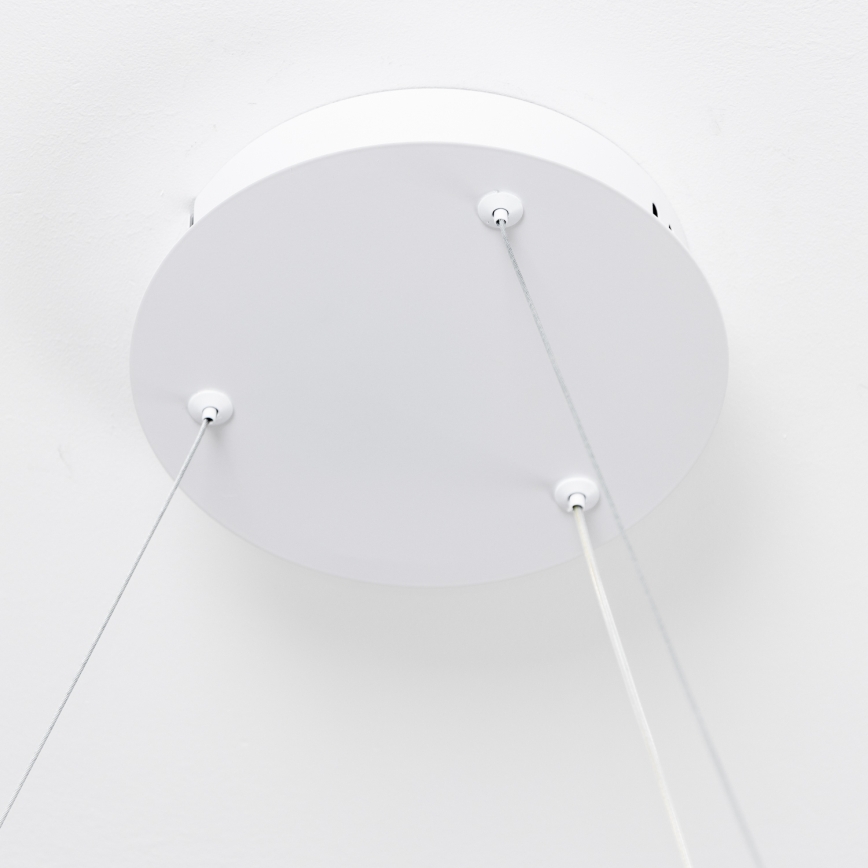 Brilagi - LED luster s mogućnošću prigušivanja na kabelu FALCON SLIM LED/42W/230V 3000-6500K Ø 50 cm, bijela, s daljinskim upravljačem