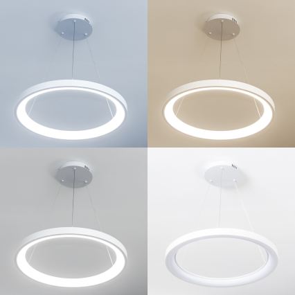 Brilagi - LED luster s mogućnošću prigušivanja na kabelu FALCON SLIM LED/42W/230V 3000-6500K Ø 50 cm, bijela, s daljinskim upravljačem