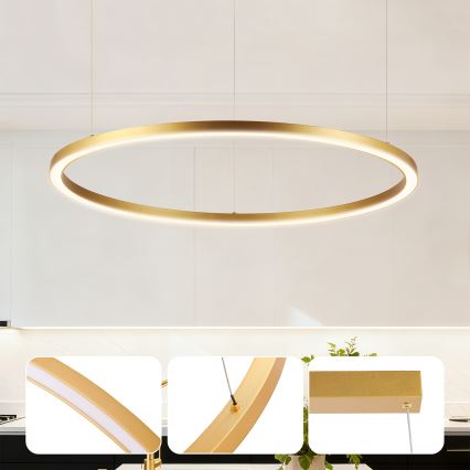 Brilagi - LED prigušivi luster na sajli PORTOFINO LED/60W/230V 3000-6000K Ø 80 cm zlatna + daljinski upravljač