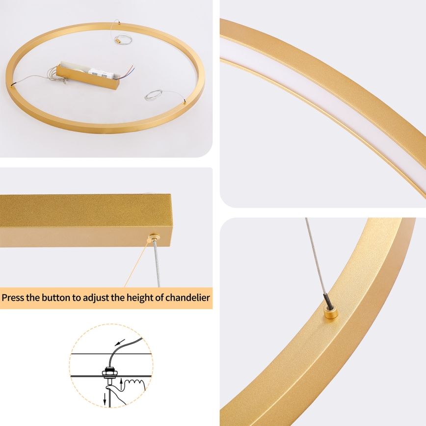 Brilagi - LED prigušivi luster na sajli PORTOFINO LED/60W/230V 3000-6000K Ø 80 cm zlatna + daljinski upravljač