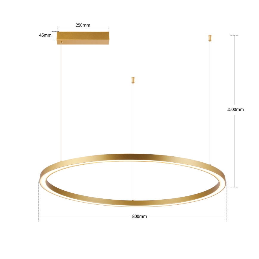 Brilagi - LED prigušivi luster na sajli PORTOFINO LED/60W/230V 3000-6000K Ø 80 cm zlatna + daljinski upravljač