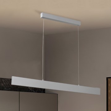 Brilagi - LED luster s prigušivanjem na užetu SLIMLINE LED/40W/230V 3000-6000K srebrna + daljinski upravljač