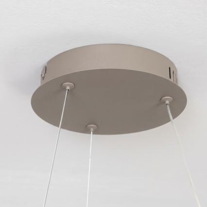BRILAGI - LED luster na sajli s mogućnošću prigušivanja FALCON II LED/67W/230V 3000-6500K Ø 40 cm bež + daljinski upravljač