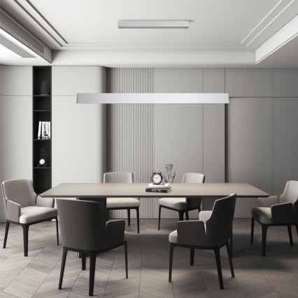 Brilagi - LED luster s prigušivanjem na užetu SLIMLINE LED/40W/230V 3000-6000K srebrna + daljinski upravljač