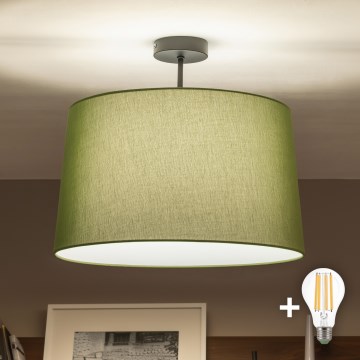 Brilagi - LED nadgradna stropna svjetiljka CERIA 1xE27/60W/230V Ø 45 cm crna/zelena