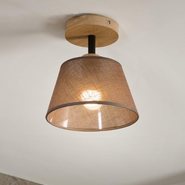 Brilagi - LED  Nadgradni luster ANTHONY 1xE14/60W/230V hrast/smeđa