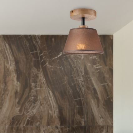 Brilagi - LED  Nadgradni luster ANTHONY 1xE14/60W/230V hrast/smeđa