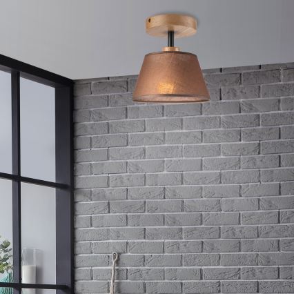 Brilagi - LED  Nadgradni luster ANTHONY 1xE14/60W/230V hrast/smeđa