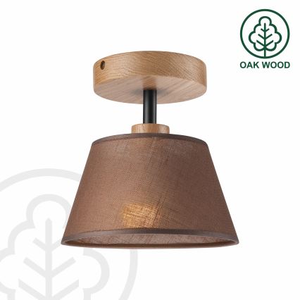 Brilagi - LED  Nadgradni luster ANTHONY 1xE14/60W/230V hrast/smeđa