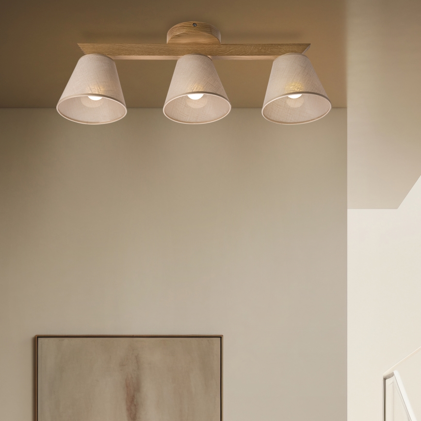Brilagi - LED  Nadgradni luster ANTHONY 3xE14/40W/230V hrast/bež