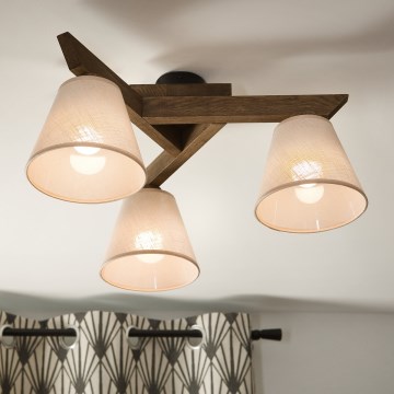 Brilagi - LED  Nadgradni luster ANTHONY 3xE14/40W/230V hrast/bež