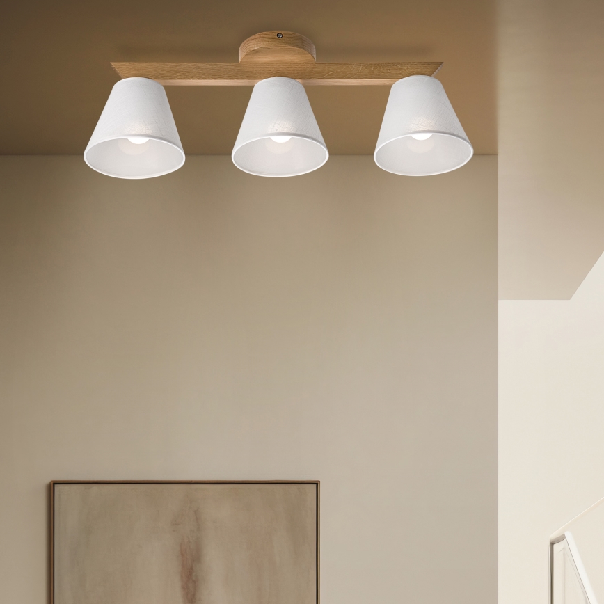 Brilagi - LED  Nadgradni luster ANTHONY 3xE14/40W/230V hrast/bijela