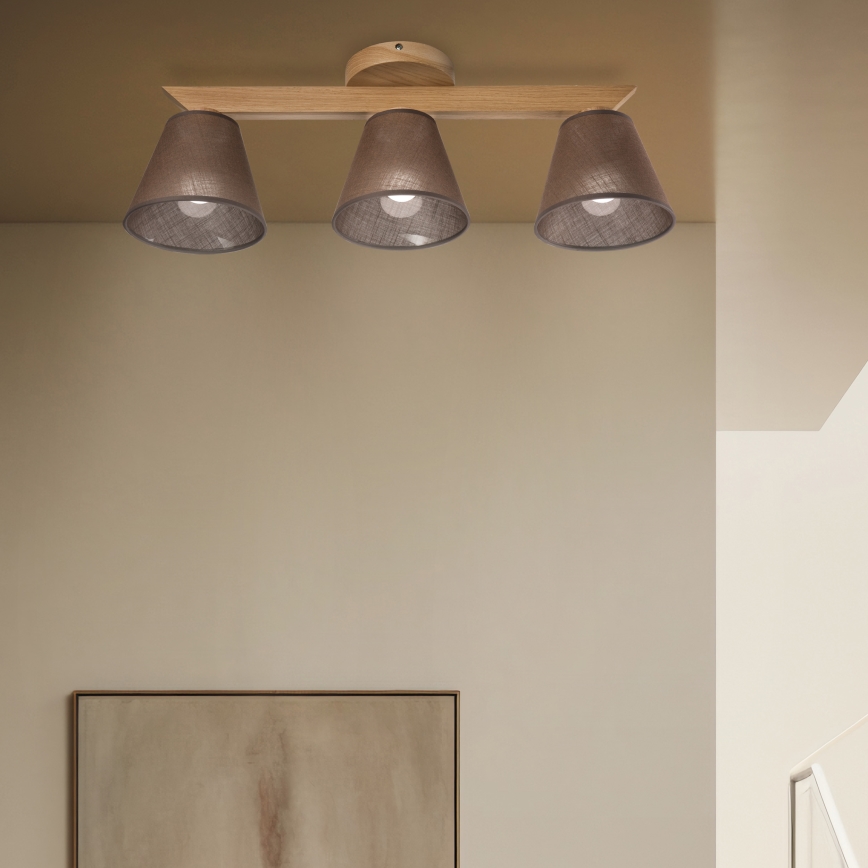Brilagi - LED  Nadgradni luster ANTHONY 3xE14/40W/230V hrast/smeđa