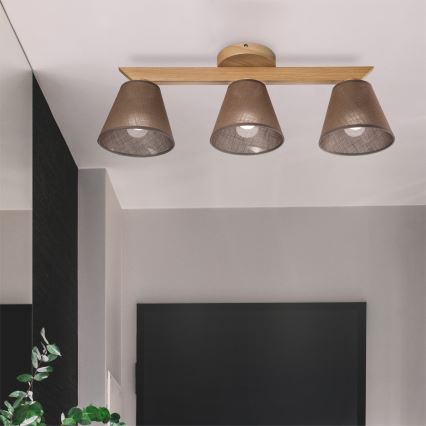 Brilagi - LED  Nadgradni luster ANTHONY 3xE14/40W/230V hrast/smeđa