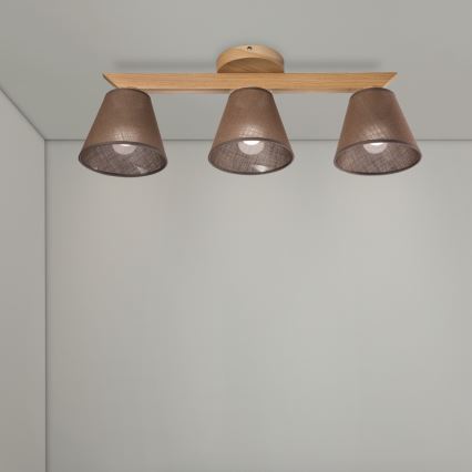 Brilagi - LED  Nadgradni luster ANTHONY 3xE14/40W/230V hrast/smeđa