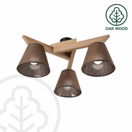 Brilagi - LED  Nadgradni luster ANTHONY 3xE14/40W/230V hrast/smeđa