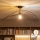 Brilagi - LED nadgradni luster CERIA WIRE 1xE27/60W/230V 60x80 cm crna/brončana