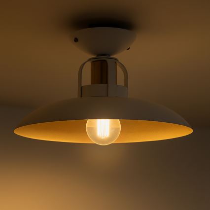 Brilagi - LED Nadgradni luster FLAMENGO 1xE27/60W/230V bijela