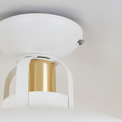 Brilagi - LED Nadgradni luster FLAMENGO 1xE27/60W/230V bijela