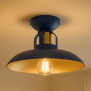 Brilagi - LED Nadgradni luster FLAMENGO 1xE27/60W/230V plava