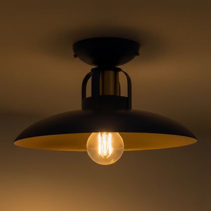 Brilagi - LED Nadgradni luster FLAMENGO 1xE27/60W/230V plava