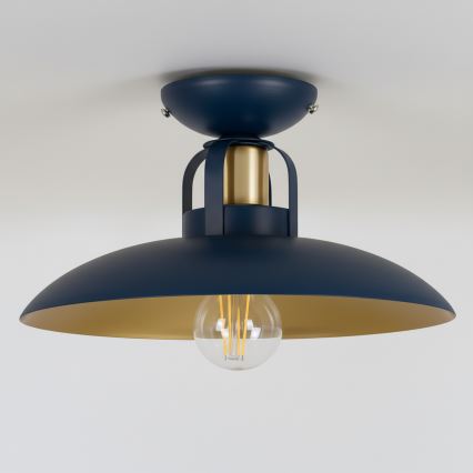 Brilagi - LED Nadgradni luster FLAMENGO 1xE27/60W/230V plava