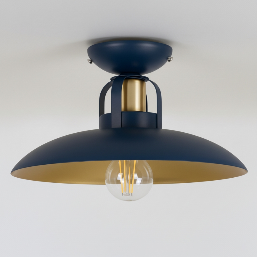 Brilagi - LED Nadgradni luster FLAMENGO 1xE27/60W/230V plava