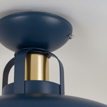 Brilagi - LED Nadgradni luster FLAMENGO 1xE27/60W/230V plava