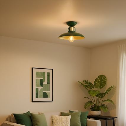 Brilagi - LED Nadgradni luster FLAMENGO 1xE27/60W/230V zelena