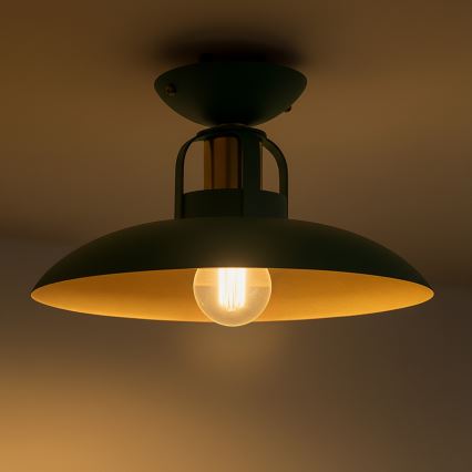 Brilagi - LED Nadgradni luster FLAMENGO 1xE27/60W/230V zelena