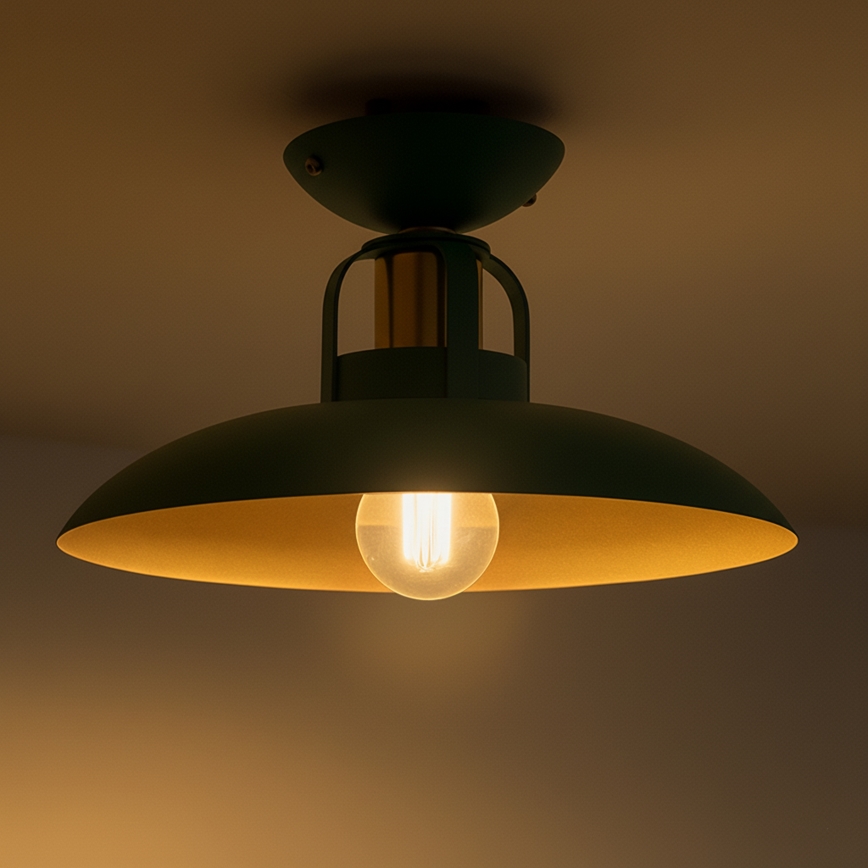 Brilagi - LED Nadgradni luster FLAMENGO 1xE27/60W/230V zelena