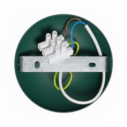 Brilagi - LED Nadgradni luster FLAMENGO 1xE27/60W/230V zelena