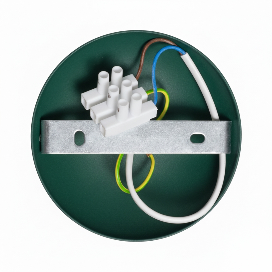 Brilagi - LED Nadgradni luster FLAMENGO 1xE27/60W/230V zelena