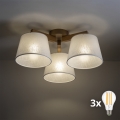 BRILAGI - LED nadgradni luster LATTE SABIA 3xE27/15W/230V borovina/bijela