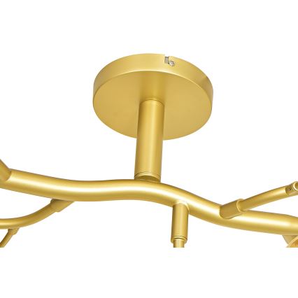 Brilagi - LED Nadgradni luster MISTEL 15xG9/3W/230V zlatna