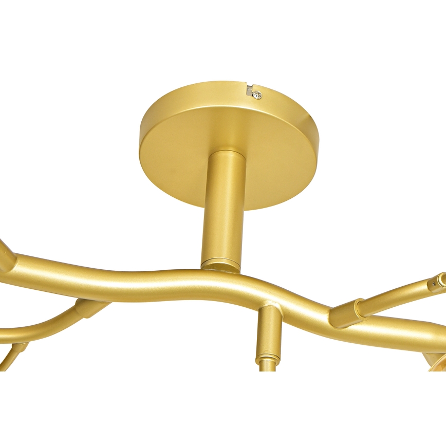 Brilagi - LED Nadgradni luster MISTEL 15xG9/3W/230V zlatna