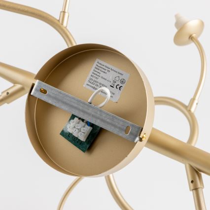 Brilagi - LED Nadgradni luster MISTEL 15xG9/3W/230V zlatna