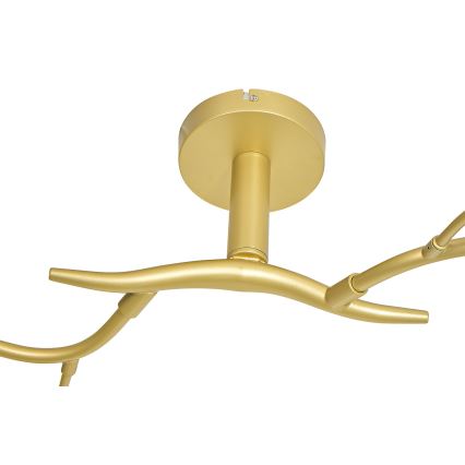 Brilagi - LED Nadgradni luster MISTEL 6xG9/3W/230V zlatna/bijela