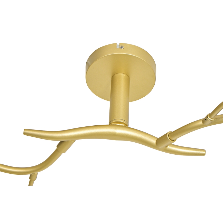 Brilagi - LED Nadgradni luster MISTEL 6xG9/3W/230V zlatna/bijela