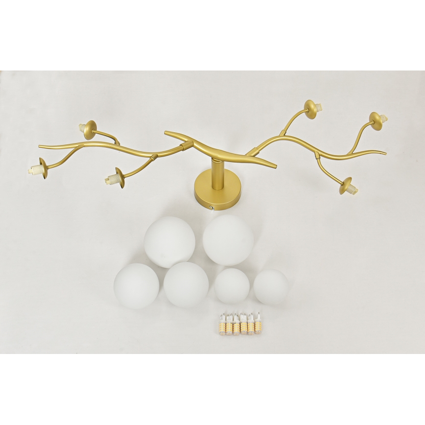 Brilagi - LED Nadgradni luster MISTEL 6xG9/3W/230V zlatna/bijela