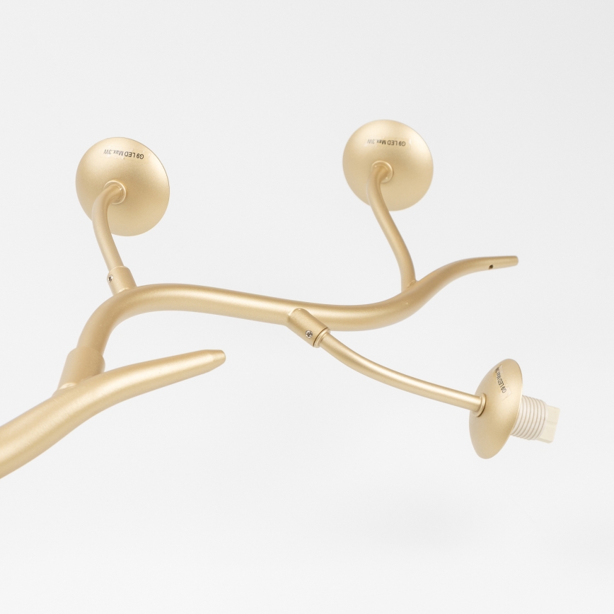 Brilagi - LED Nadgradni luster MISTEL 6xG9/3W/230V zlatna