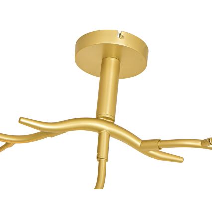 Brilagi - LED Nadgradni luster MISTEL 9xG9/3W/230V zlatna/bijela