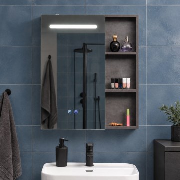 BRILAGI - LED ogledalni kupaonski ormarić s pozadinskim osvjetljenjem TRABIA SINGLE 60x70 cm