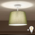 Brilagi - LED plafonska svjetiljka CERIA 1xE27/60W/230V, promjer 30 cm, bijela/zelena