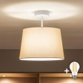 Brilagi - LED plafonska svjetiljka CERIA 1xE27/60W/230V Ø 30 cm bijela/bež